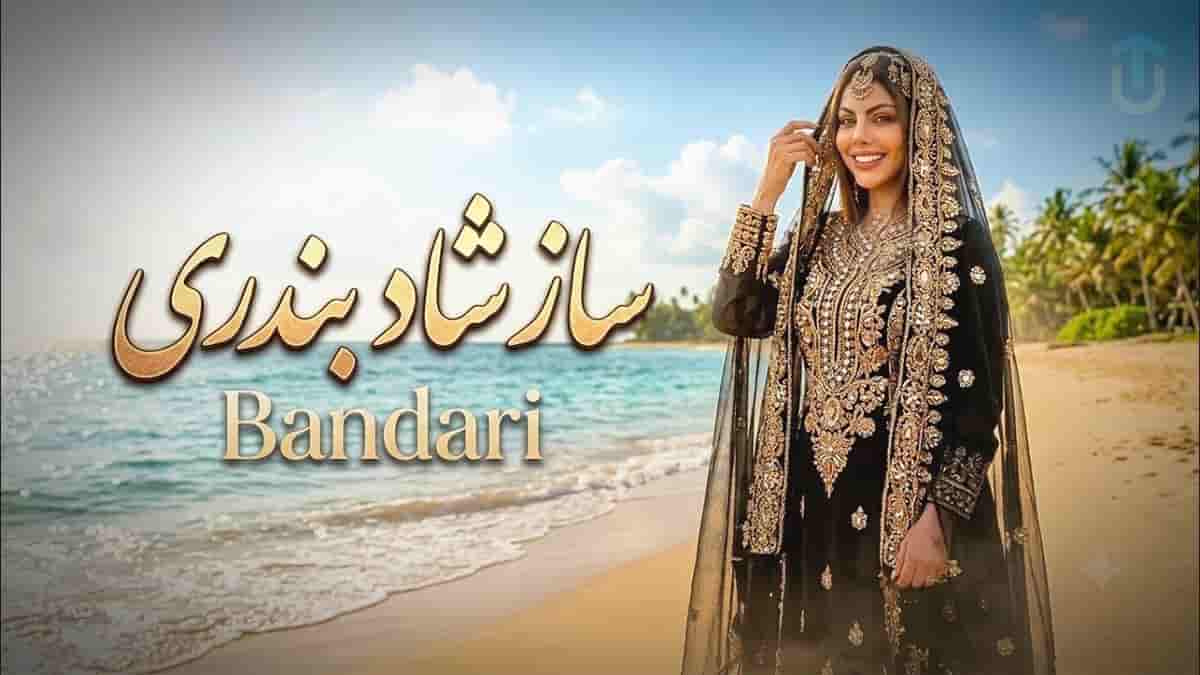 دانلود آهنگ شاد بندری از دیجی رویا (بیکلام) مخصوص رقص و عروسی دانلود آهنگ شاد بندری از دیجی رویا (بیکلام) مخصوص رقص و عروسی