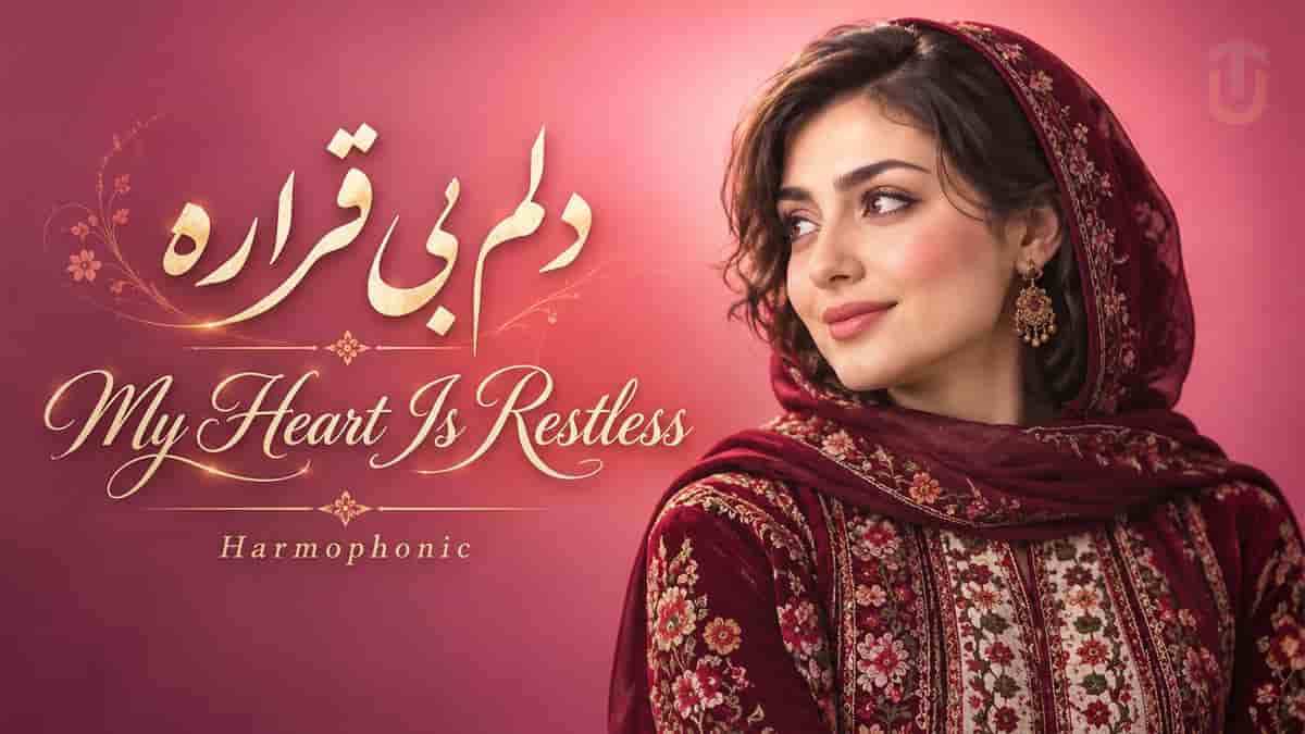 دانلود آهنگ تو زیبا لیلی تو دین و ایمون منی یا مولا دلم تنگ اومده دانلود آهنگ تو زیبا لیلی تو دین و ایمون منی یا مولا دلم تنگ اومده