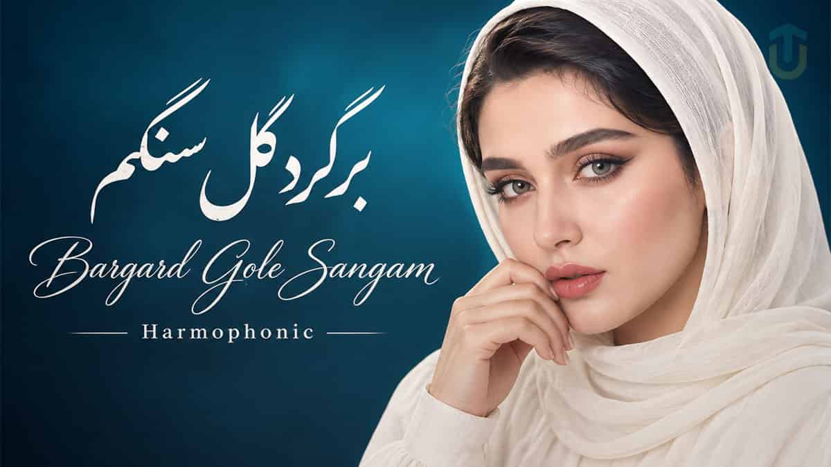 دانلود آهنگ هارموفنیک برگرد گل سنگم سبک الکترونیک و دنس پاپ دانلود آهنگ هارموفنیک برگرد گل سنگم سبک الکترونیک و دنس پاپ