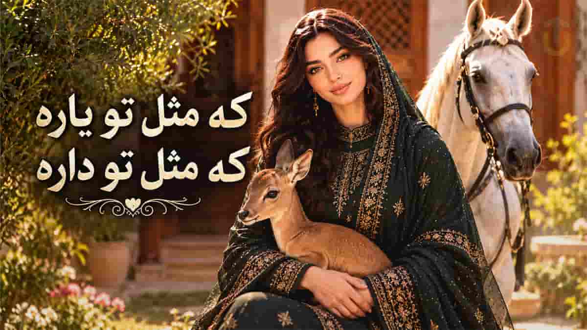 دانلود آهنگ کی مثل تو یاره کی مثل تو داره (یار بالا بلندم دلبر شیرین و قندم) دانلود آهنگ کی مثل تو یاره کی مثل تو داره (یار بالا بلندم دلبر شیرین و قندم)
