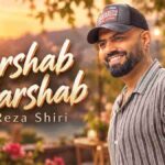 دانلود آهنگ رضا شیری هر شب هر شب